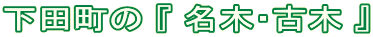 c w ؁EÖ x
